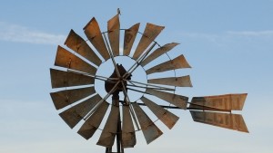 Sparrow on windmill