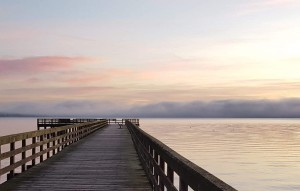 Fog bank pink at tramp harbor dock